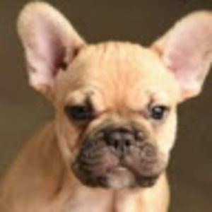 Meet your Posher, Walter